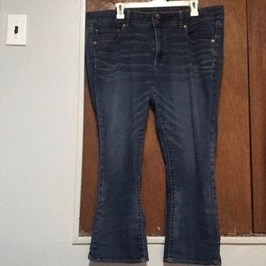 Size 18 American Eagle Artist Crops